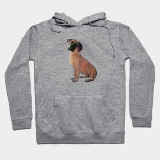 Black Mouth Cur - Just the Dog Hoodie